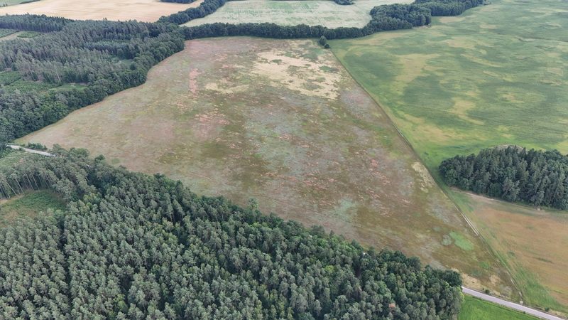 Działka na sprzedaż 269 089 m²: Działka na sprzedaż w Białowąsie