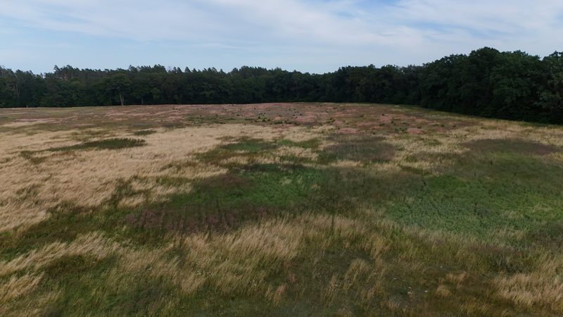 Działka na sprzedaż 269 089 m²: Działka na sprzedaż w Białowąsie