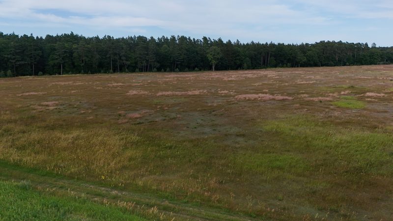 Działka na sprzedaż 269 089 m²: Działka na sprzedaż w Białowąsie