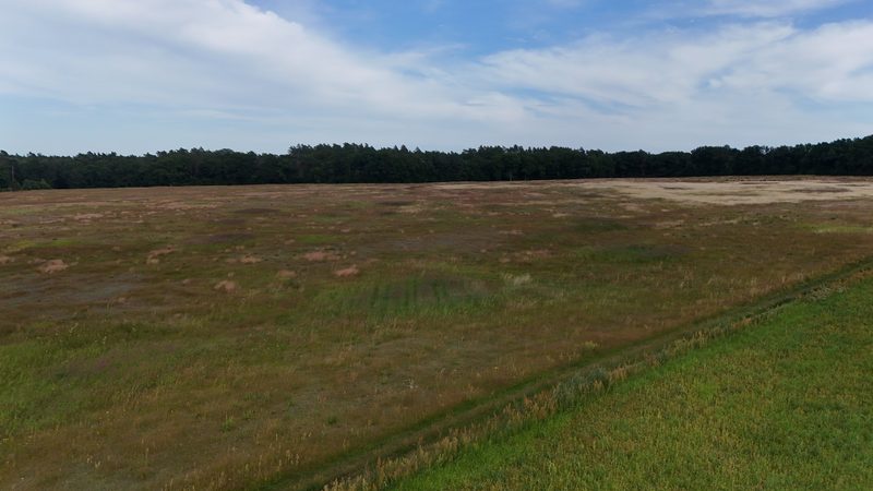 Działka na sprzedaż 269 089 m²: Działka na sprzedaż w Białowąsie