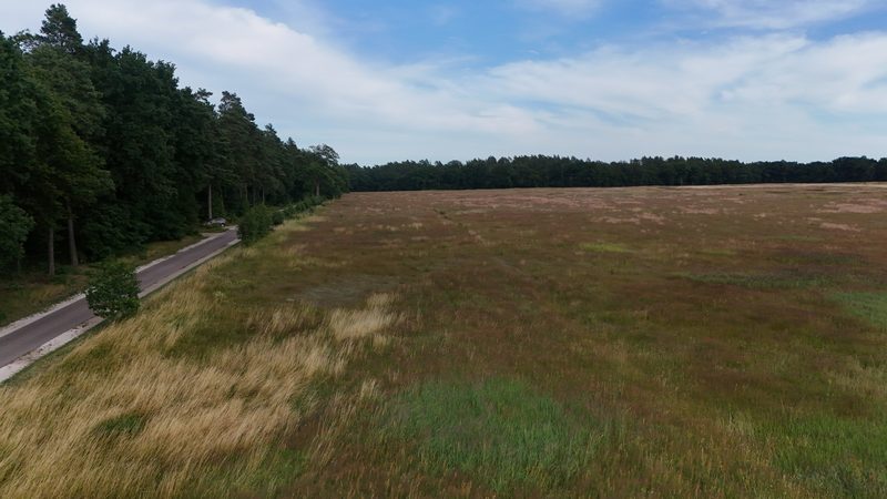 Działka na sprzedaż 269 089 m²: Działka na sprzedaż w Białowąsie