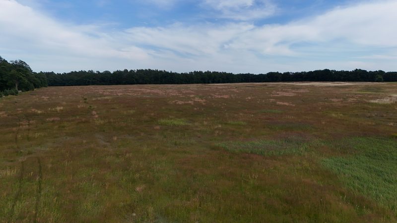 Działka na sprzedaż 269 089 m²: Działka na sprzedaż w Białowąsie