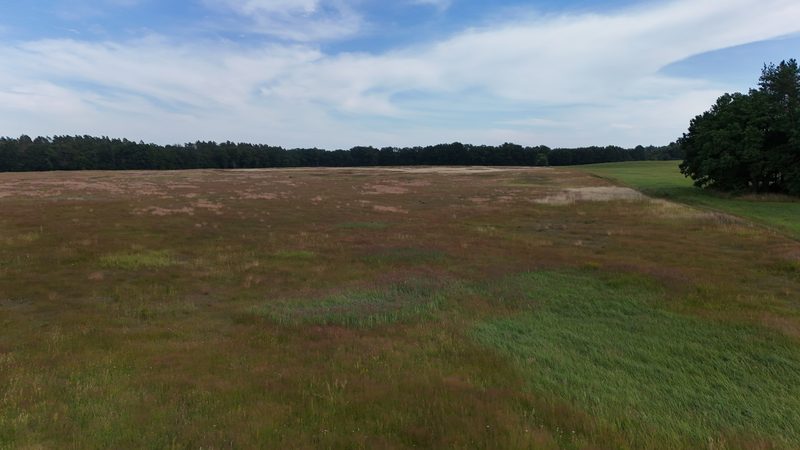 Działka na sprzedaż 269 089 m²: Działka na sprzedaż w Białowąsie