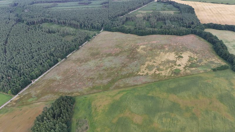 Działka na sprzedaż 269 089 m²: Działka na sprzedaż w Białowąsie