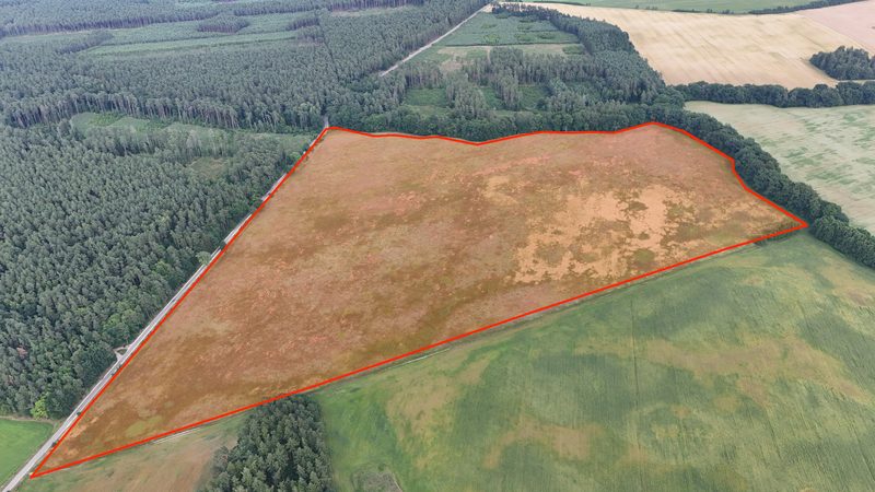 Działka na sprzedaż 269 089 m²: Działka na sprzedaż w Białowąsie