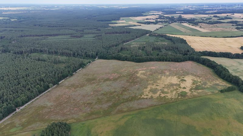 Działka na sprzedaż 269 089 m²: Działka na sprzedaż w Białowąsie