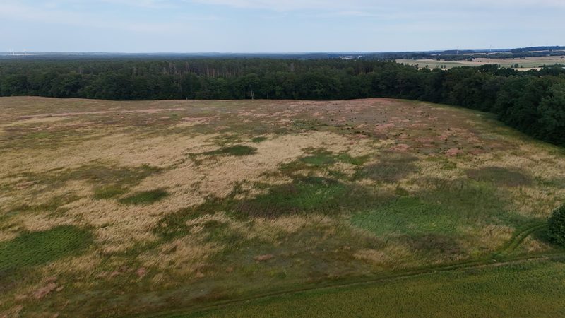 Działka na sprzedaż 269 089 m²: Działka na sprzedaż w Białowąsie
