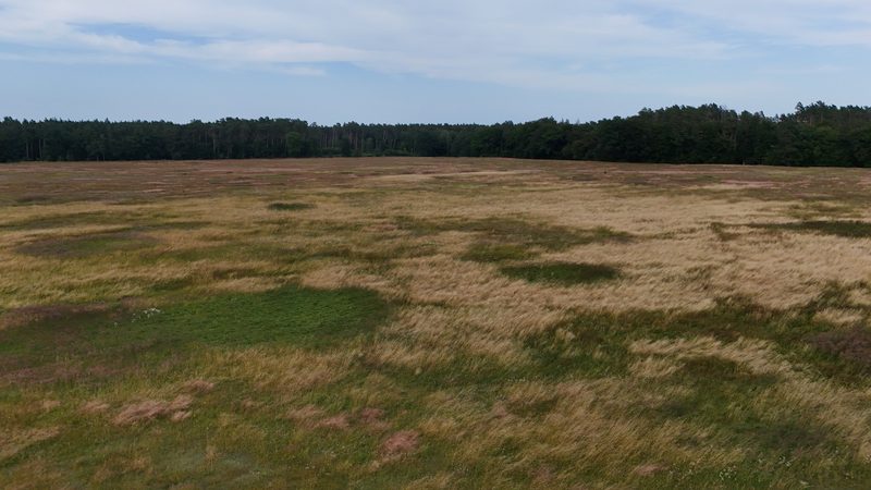 Działka na sprzedaż 269 089 m²: Działka na sprzedaż w Białowąsie