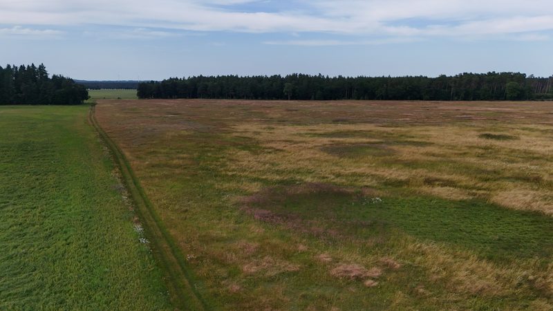 Działka na sprzedaż 269 089 m²: Działka na sprzedaż w Białowąsie