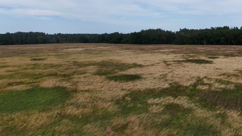 Działka na sprzedaż 269 089 m²: Działka na sprzedaż w Białowąsie