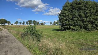 Baugrundstück zu verkaufen in Knyki zdjęcie 4