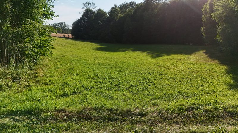 Działka na sprzedaż 7 559 m²: Działka budowlana na sprzedaż w Knykach