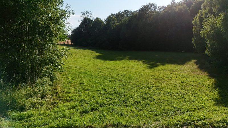 Działka na sprzedaż 7 559 m²: Działka budowlana na sprzedaż w Knykach