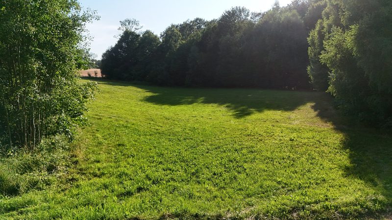 Działka na sprzedaż 7 559 m²: Działka budowlana na sprzedaż w Knykach