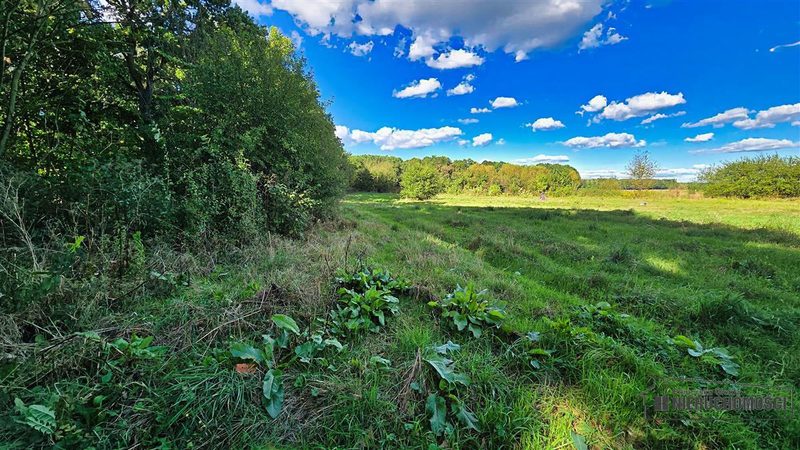 Działka na sprzedaż 1 356 m²: Działki budowlane na sprzedaż w Ostrowąsach