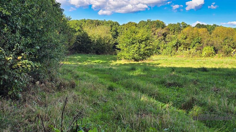 Działka na sprzedaż 1 356 m²: Działki budowlane na sprzedaż w Ostrowąsach