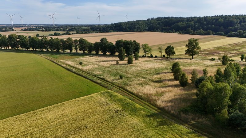 Działka na sprzedaż 2 302 m²: Działka budowlana na sprzedaż w Ostrowąsach, 6 km od Barwic