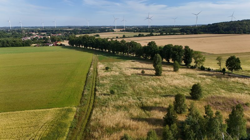 Działka na sprzedaż 2 302 m²: Działka budowlana na sprzedaż w Ostrowąsach, 6 km od Barwic