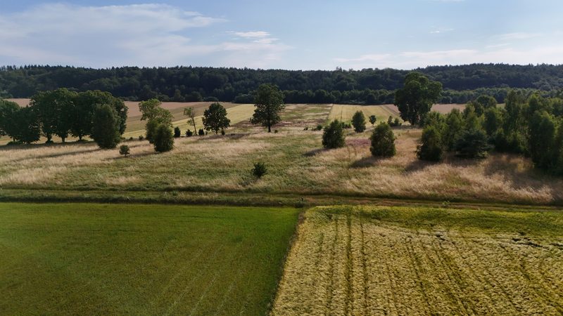Działka na sprzedaż 2 302 m²: Działka budowlana na sprzedaż w Ostrowąsach, 6 km od Barwic