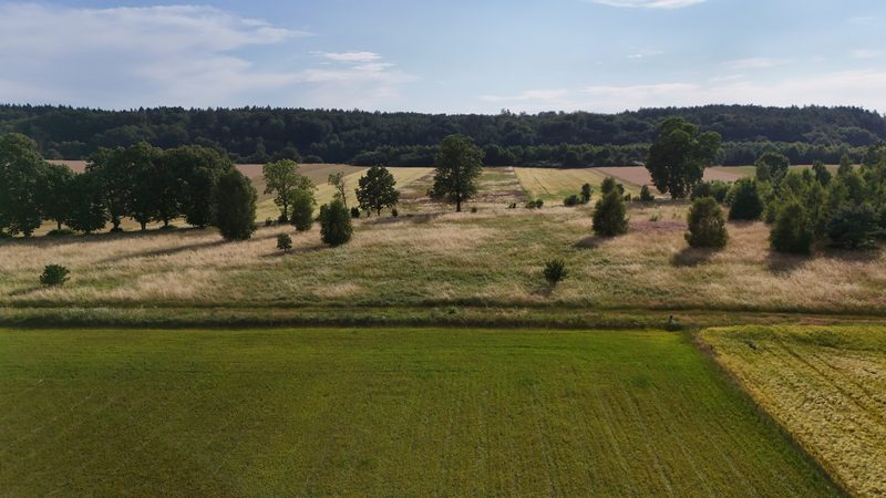 Działka na sprzedaż 2 302 m²: Działka budowlana na sprzedaż w Ostrowąsach, 6 km od Barwic