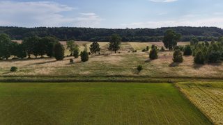 Baugrundstück zu verkaufen in Ostrowąsy zdjęcie 7