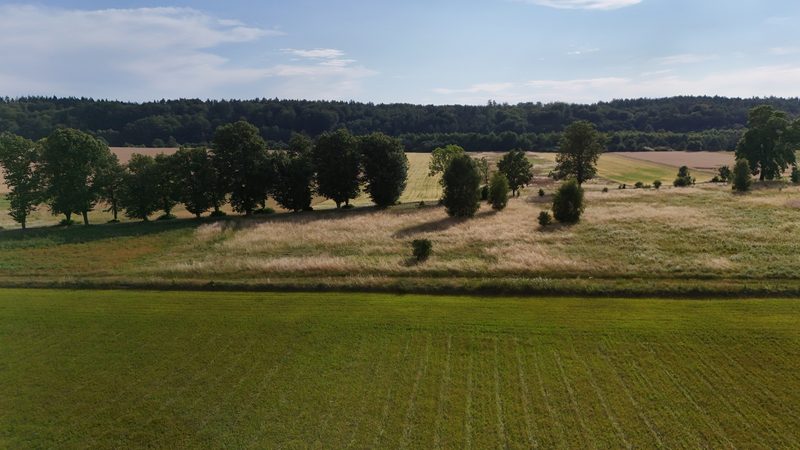 Działka na sprzedaż 2 302 m²: Działka budowlana na sprzedaż w Ostrowąsach, 6 km od Barwic