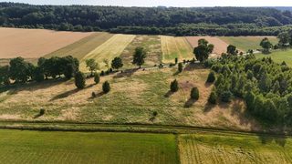 Baugrundstück zu verkaufen in Ostrowąsy zdjęcie 10