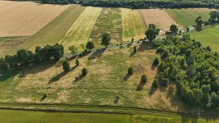 Baugrundstück zu verkaufen in Ostrowąsy zdjęcie 10