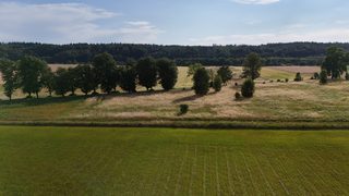Baugrundstück zu verkaufen in Ostrowąsy zdjęcie 9