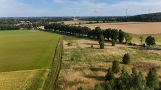 Baugrundstück zu verkaufen in Ostrowąsy zdjęcie 5