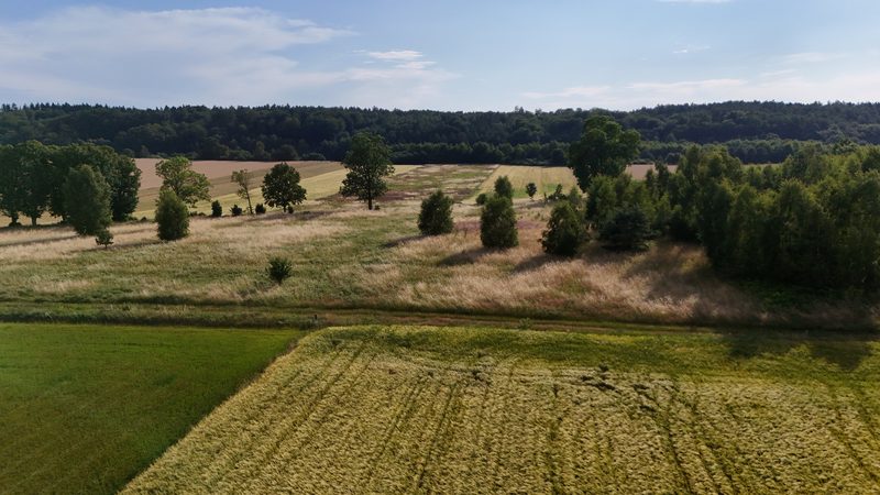 Działka na sprzedaż 4 897 m²: Działka budowlana na sprzedaż w Ostrowąsach, 6 km od Barwic