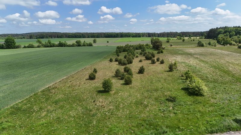 Działka na sprzedaż 752 m²: Dziewięć działek budowlanych z drogą wewnętrzną w Białogórzynie, 12 km od Białogardu