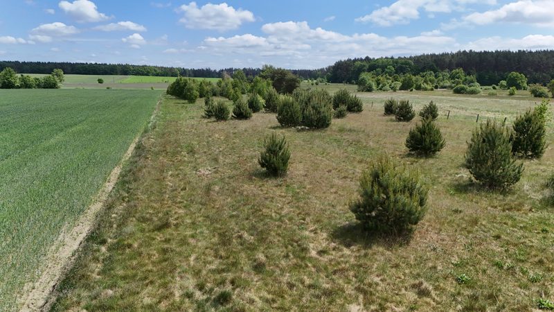 Działka na sprzedaż 752 m²: Dziewięć działek budowlanych z drogą wewnętrzną w Białogórzynie, 12 km od Białogardu