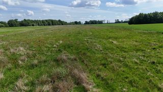 Działki budowlane przy lesie w Byszynie, 9 km od Białogardu, zdjęcie 11
