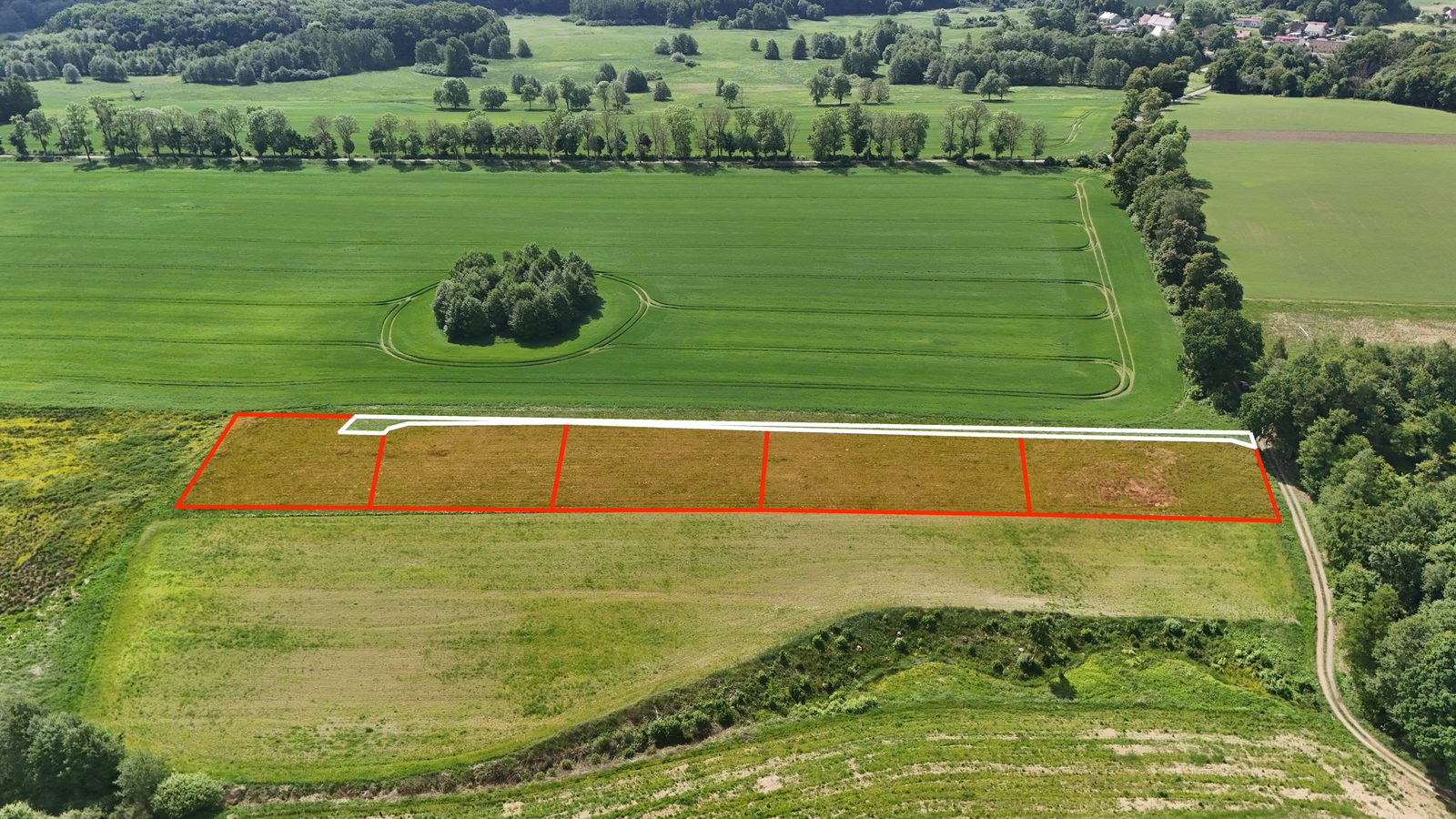 Pięć działek rolnych przy lesie w Byszynie, 9 km od Białogardu