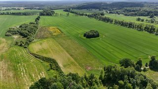 Działki budowlane przy lesie w Byszynie, 9 km od Białogardu, zdjęcie 3