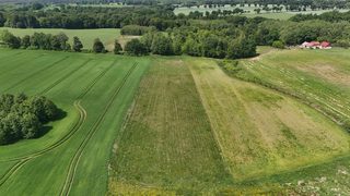 Działki budowlane przy lesie w Byszynie, 9 km od Białogardu, zdjęcie 5