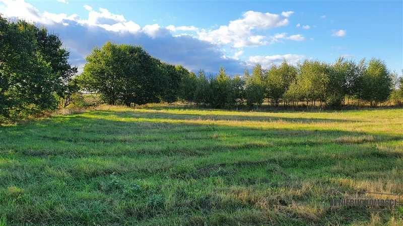 Działka na sprzedaż 1 000 m²: Pięć działek rolnych na skraju Dargikowa, 8 km od Białogardu