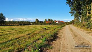 Pięć działek rolnych na skraju Dargikowa, 8 km od Białogardu zdjęcie 6