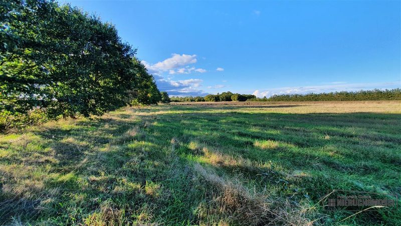 Działka na sprzedaż 1 000 m²: Pięć działek rolnych na skraju Dargikowa, 8 km od Białogardu