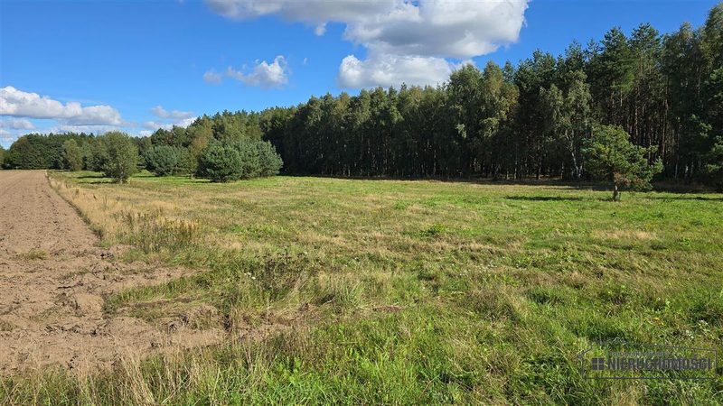 Działka na sprzedaż 3 001 m²: Cztery działki rolne przy lesie w Dargikowie, 8 km od Białogardu