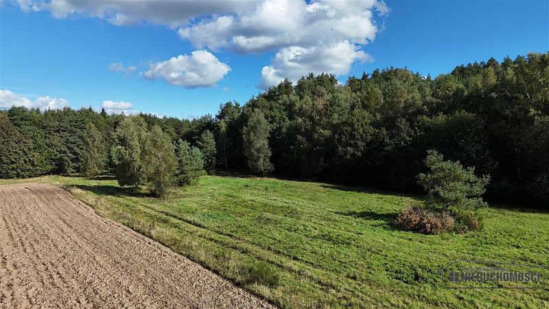 Działka na sprzedaż 3 001 m²: Cztery działki rolne przy lesie w Dargikowie, 8 km od Białogardu