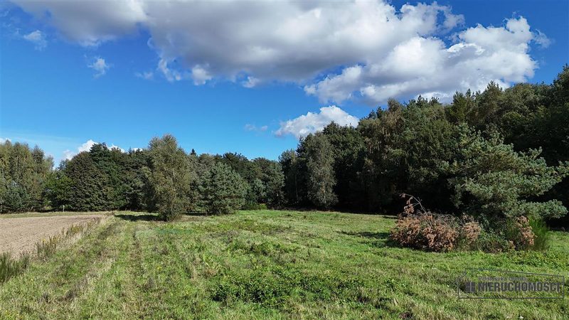 Działka na sprzedaż 3 001 m²: Cztery działki rolne przy lesie w Dargikowie, 8 km od Białogardu