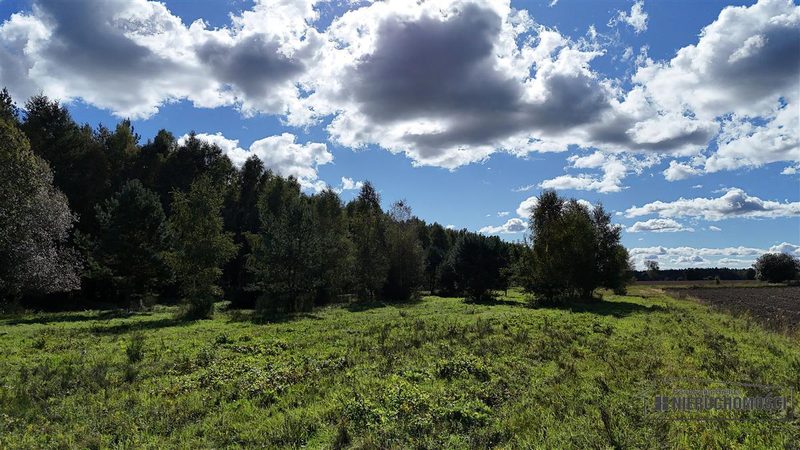 Działka na sprzedaż 3 001 m²: Cztery działki rolne przy lesie w Dargikowie, 8 km od Białogardu