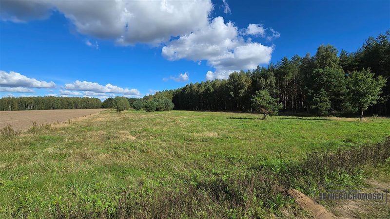 Działka na sprzedaż 3 001 m²: Cztery działki rolne przy lesie w Dargikowie, 8 km od Białogardu