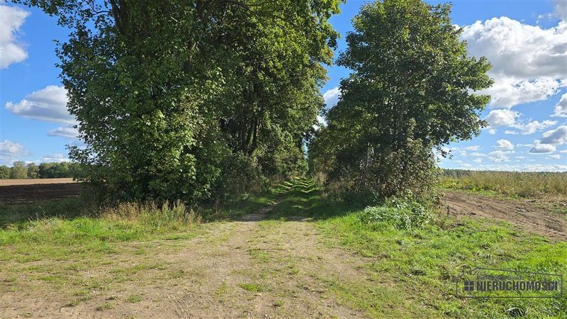 Działka na sprzedaż 3 001 m²: Cztery działki rolne przy lesie w Dargikowie, 8 km od Białogardu