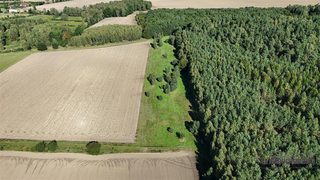 Cztery działki rolne przy lesie w Dargikowie, 8 km od Białogardu zdjęcie 3