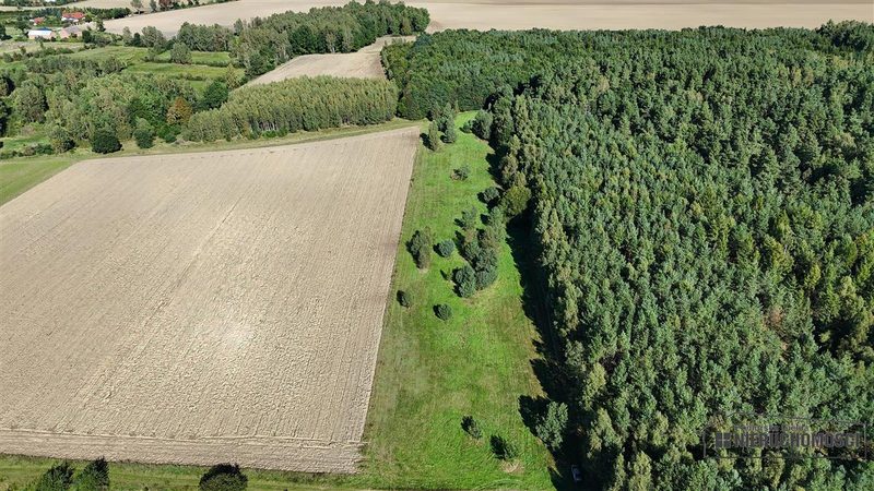 Działka na sprzedaż 3 001 m²: Cztery działki rolne przy lesie w Dargikowie, 8 km od Białogardu