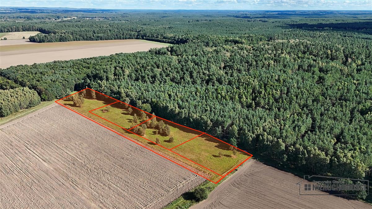 Cztery działki rolne przy lesie w Dargikowie, 8 km od Białogardu