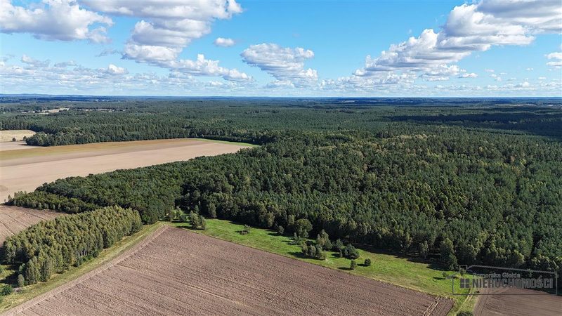 Działka na sprzedaż 3 001 m²: Cztery działki rolne przy lesie w Dargikowie, 8 km od Białogardu